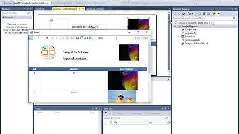 Embedded image in data report
