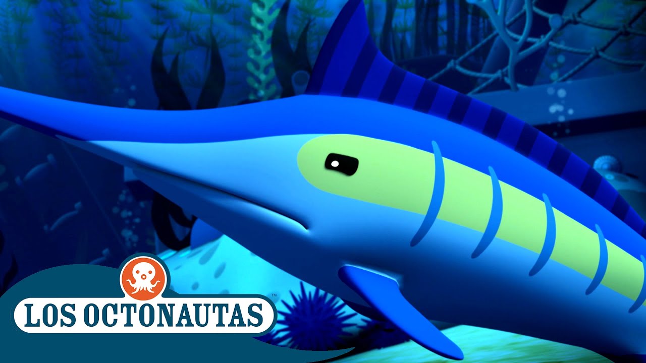 Los Octonautas - El pez espada | Episodios Completos - YouTube