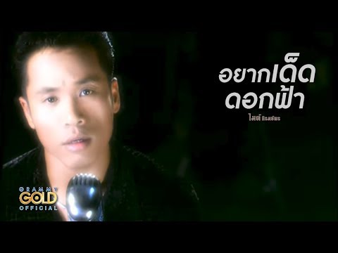 ปกเพลง อยากเด็ดดอกฟ้า — GOLF & MIKE
