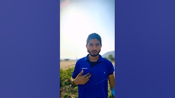 Raajkumar attitude dialogue #shorts #short #shortsfeed #shortsvideo #attitude #dialogue #rajkumar