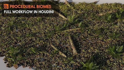 Procedural Biomes in Houdini