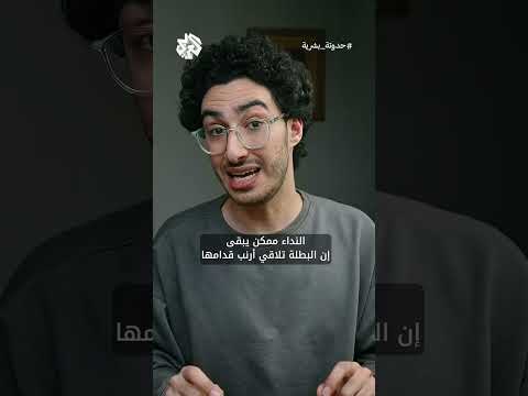 بداية رحلة البطل