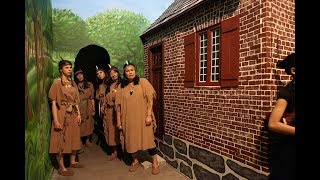 O.K. – The Musical (Dutch Colonial) • Performance at 1646, The Hague 2018