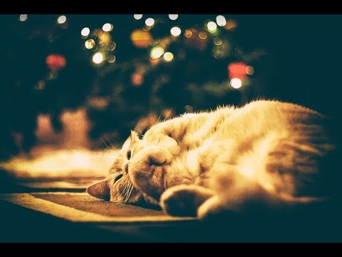 Instrumental Christmas Music: Christmas Piano Music &amp; Traditional