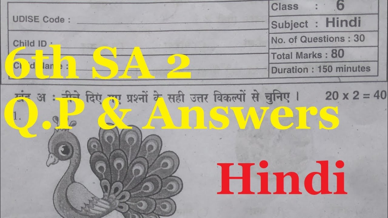 6th class essay 2 hindi question paper