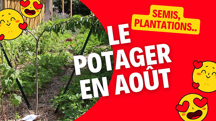 Que faire en août au potager?