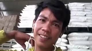 Download Lagu DIANA lagu MADURA MP3