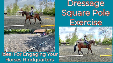 Dressage Exercise To Engage Your Horses Hindquarters | Pole Exercises | Equestrian