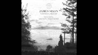 BADE004 - James Sison - Stolen (Feat. Clover) (Original Mix)