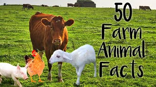 🐮🐷 50 Fascinating Farm Animal Facts to Impress Your Friends! 🐔🐑 | Animal Education