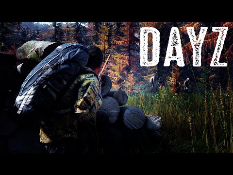 Видео: DayZ RELIFE PVE 🔴НОРМАЛЬНОЕ ВЫЖИВАНИЕ🔴STREAM🔴