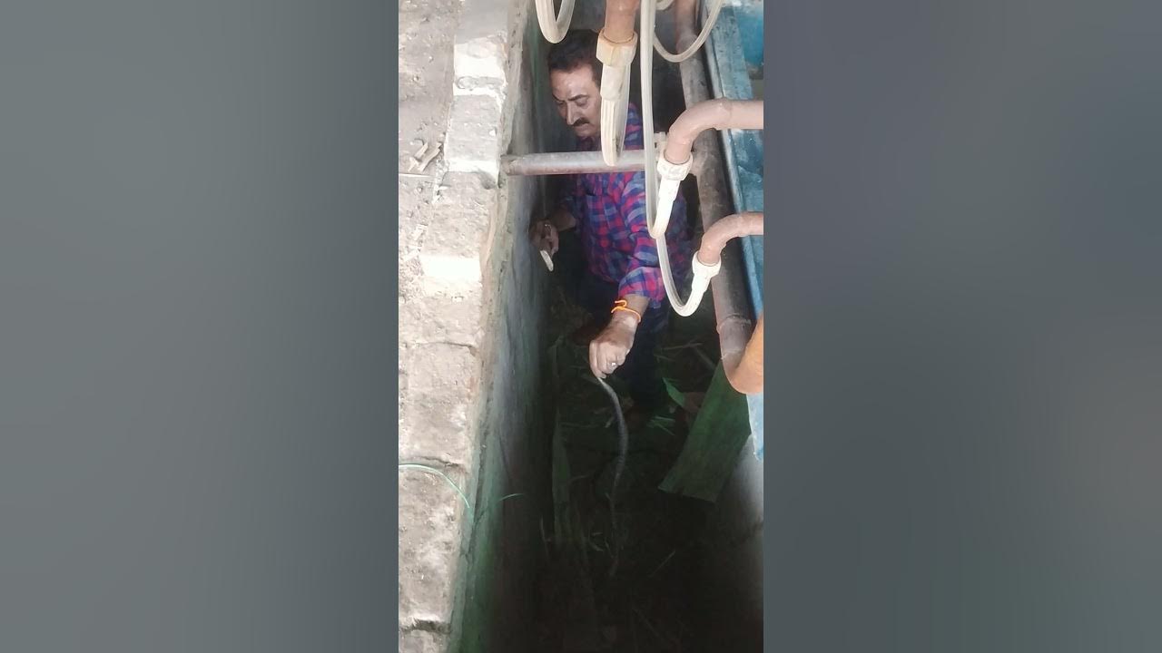 ASHOK JOSHI INDIAN SNAKES CATCHER AMRITSAR pb.9988664418. YouTube