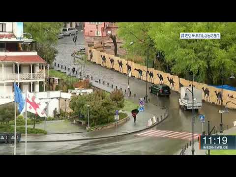 რა შემთხვევაშია  დაშვებული მანქანით გადაადგილება