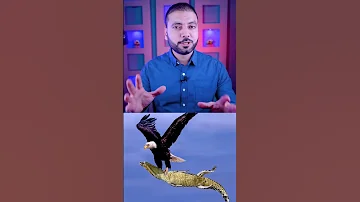 كم يعيش النسر وكيف يموت 
