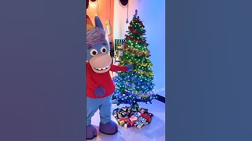 A magical Christmas tree lighting ✨🎄