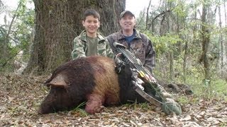 Free Range Wild Boar Bow hunt in Florida for HOGS! hunting with Dogs awesome shot by youth POV Free Range Wild Boar Bow hunt in Florida for HOGS! hunting with Dogs awesome shot by youth POV