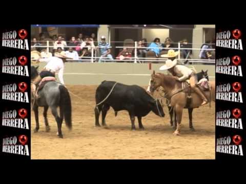 Suerte Charra - Diego Herrera