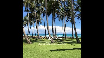 قران كريم ارح قلبك وسمعك #quran #قران #تيك_توك #اكسبلور #لايك #ترند #راحة_نفسية #سلمان_العتيبي