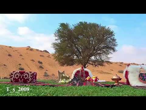 اجلس تربع بالحشا حمود الشلاقي