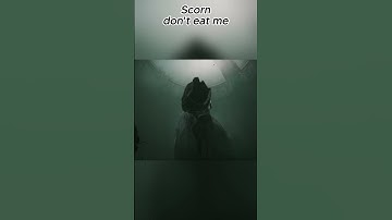 Scorn short don