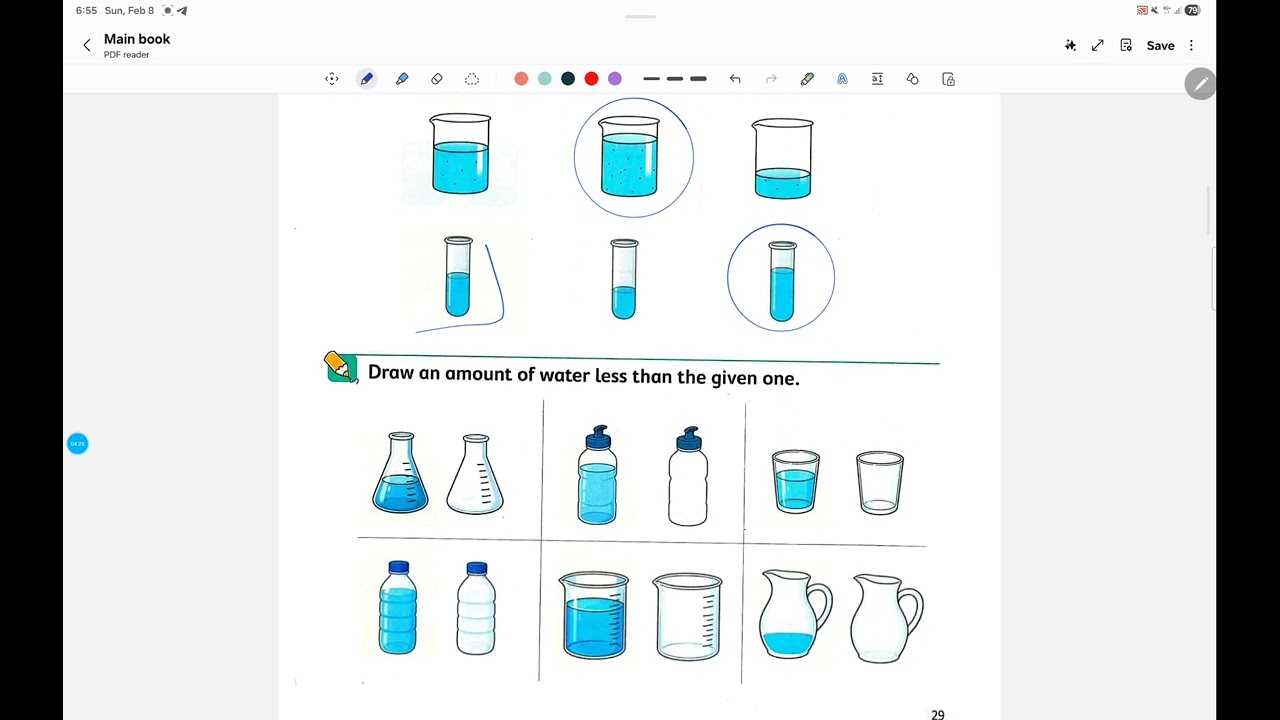 Primary 1  2nd Term which is more ?