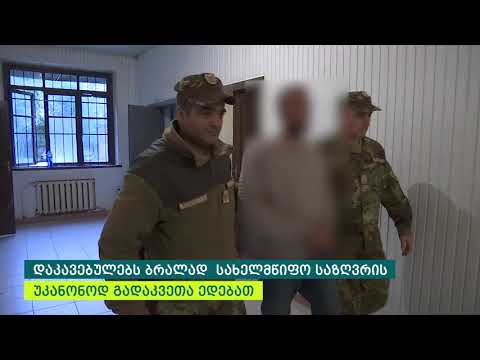 საზღვრის უკანონოდ გადაკვეთის ბრალდებით დაკავებულია ორი პირი