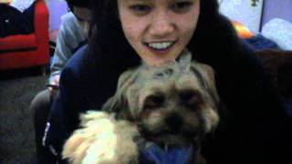 Capture 20101223