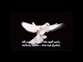 يا حمامة غريبة كل صوت تجيبه