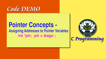 1D Pointer Concepts - Assigning Addresses to Pointer Variables Code DEMO