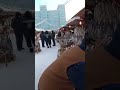Местный рынок в -42. Рынок в Якутске. Markets in Yakutsk.  Russia.  Open markets at -42.