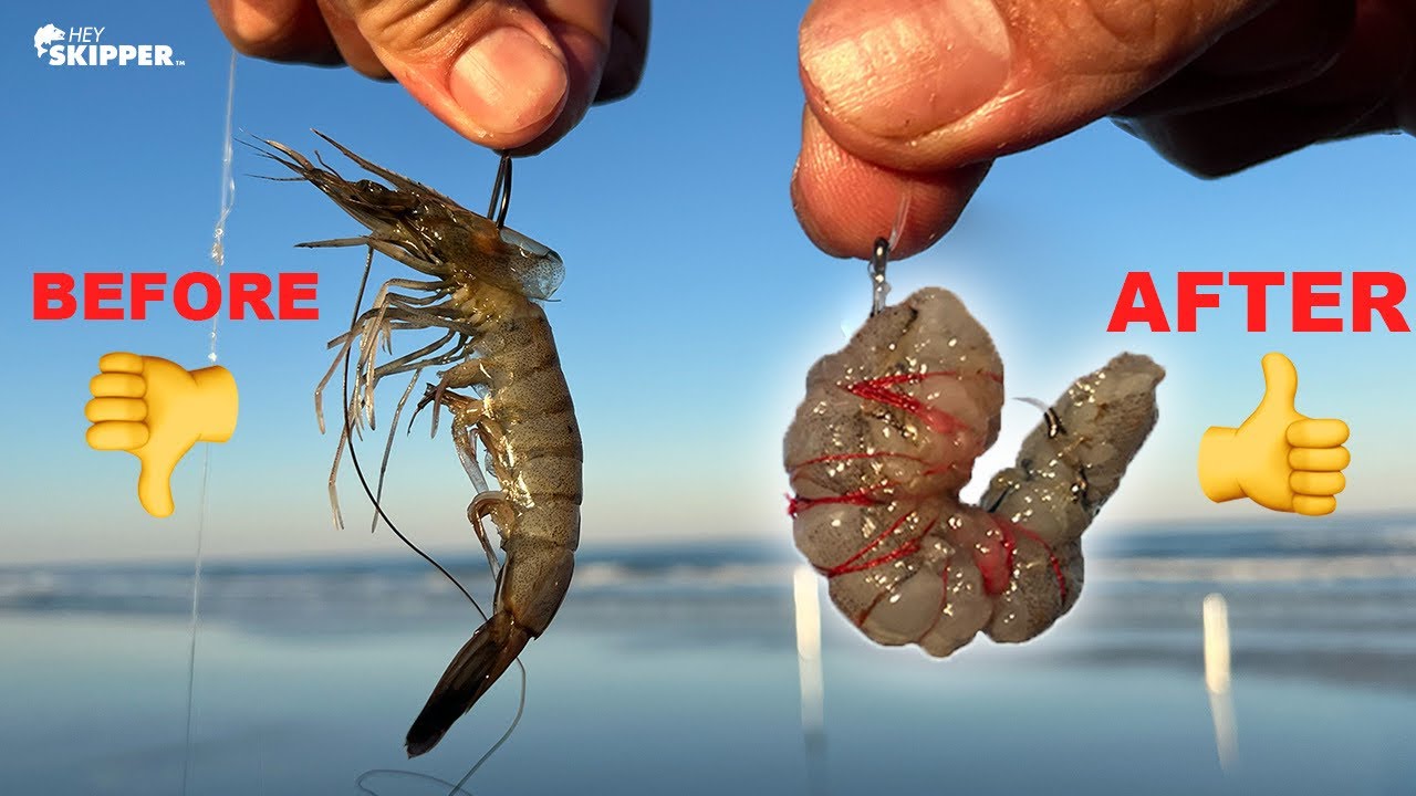 SMART vs DUMB Way to Hook Bait! DON'T DO THIS! (Simple Fishing Hack to  Catch More Fish + Save Money) 