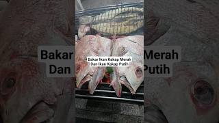 Merauke Culinary: Grilled Red and White Snapper #culinary #youtubeshorts #shorts #redsnapper
