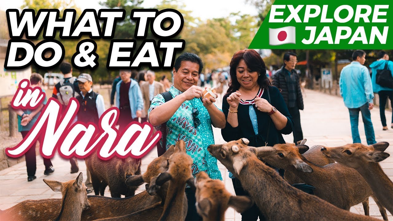 WHAT TO DO AND EAT IN NARA | Tips on how to feed the deer properly | Japan Travel Guide