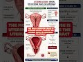 🩸 Postpartum Hemorrhage (PPH): The Leading Cause of Maternal Death #Shorts