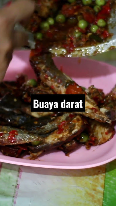 ikan tongkol vs cipokak #shortsvideo  #shorts #masak #storywa