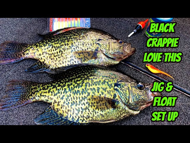 BLACK CRAPPIE IN SHALLOW BAYS- Spring time with floats 