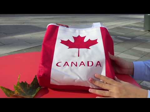 Video: Ve Vancouveru Fotografoval Slavnou Lady V červeném - Alternativní Pohled