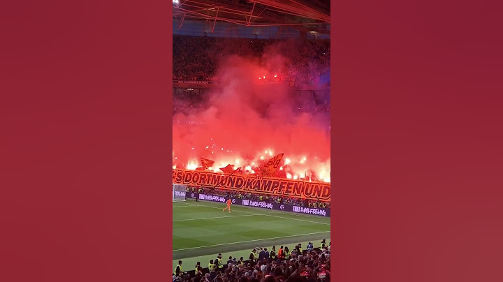 THE BVB FANS ARE SOMETHING ELSE 🤩💛🖤 #football #championsleague #ucl #uclfinal