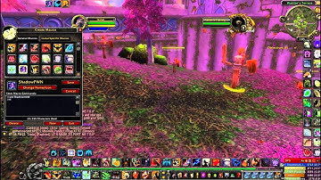 Feral Druid - Macroes & Addons