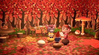 ✨Deirdre's Fall Cabin | Happy Home Paradise | Animal Crossing | !moo