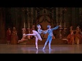 Myriam ould braham and mathias heymann  bluebird pdd sleeping beauty