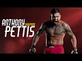 Spotlight | Anthony Pettis