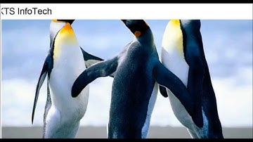 How to Install Configure and Run KTS InfoMate Free Edition Digital Signage Software