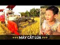 Máy Gặt Đập Liên Hợp | Máy Cắt Lúa | Nhạc Thiếu Nhi Remix Hay Nhất