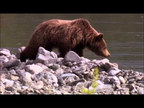 'Уголок России'  Видео клип о красоте русской природы  Наше всё!