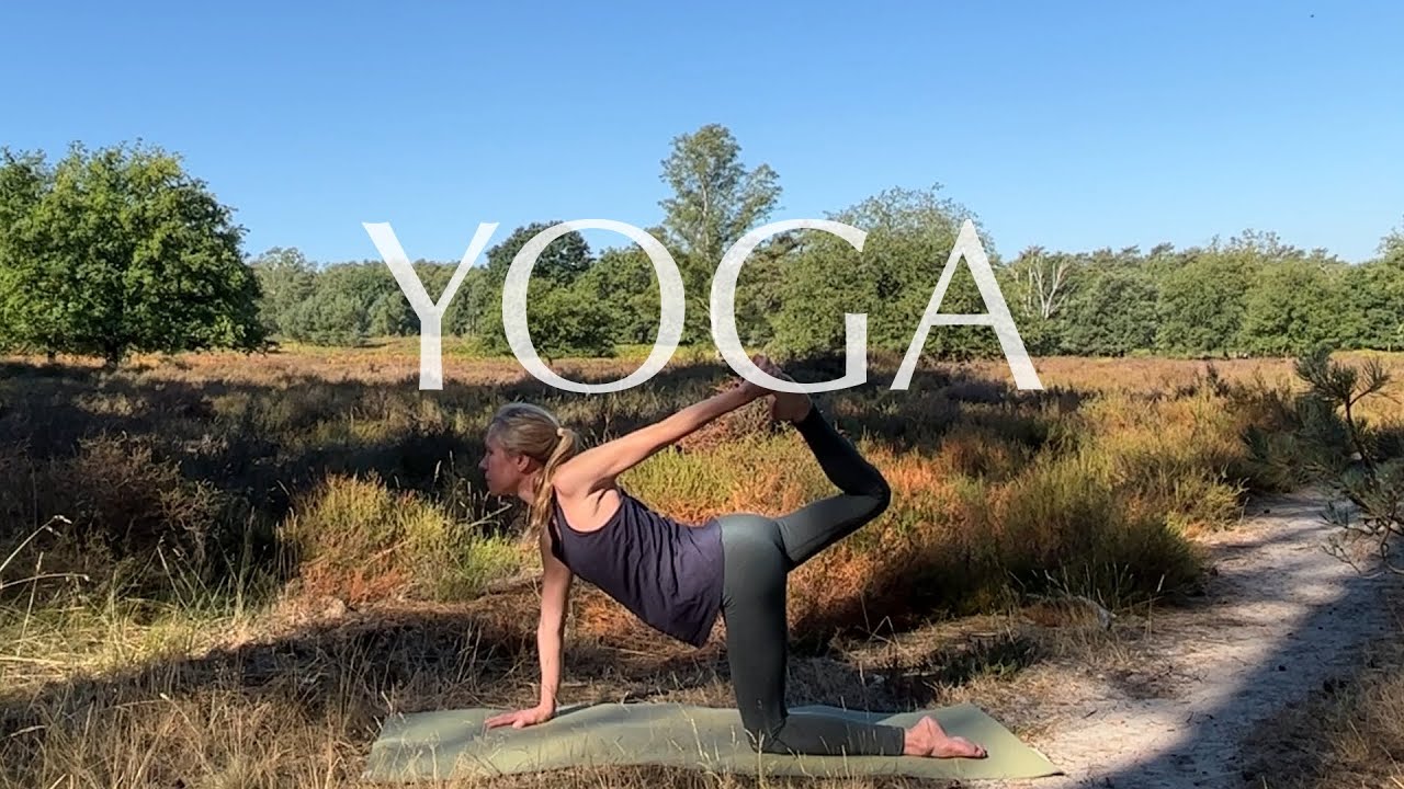 Yoga & Pranayama | Yin & Yang Balance für dein Nervensystem | 35 Minuten