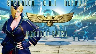Shadaloo C.R.I. Report: Project Falke