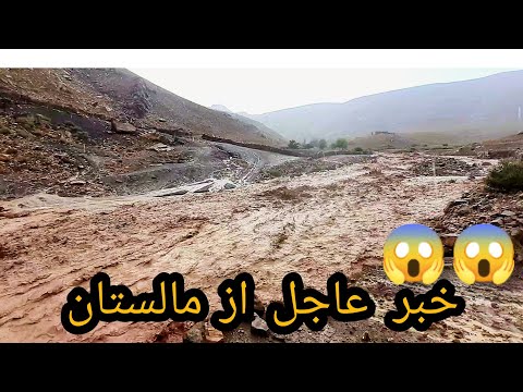 تصویری: چگونه زندگی می داند که چگونه طرح را بپیچاند