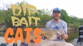 Dip Bait Cats - How to Fish for Mississippi River Channel Catfish using dip bait