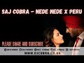 Nede nede  peru  saj cobra  alisha chinoy  fireboy dml  ed sheeran  latest punjabi remix 2022